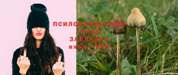 мдма Лагань