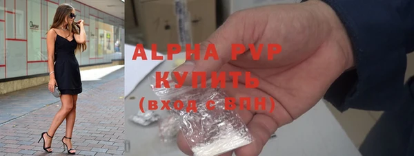 индика Ладушкин
