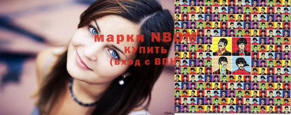 индика Ладушкин