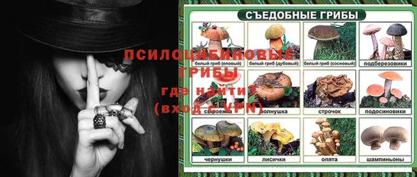 мдпв Липки