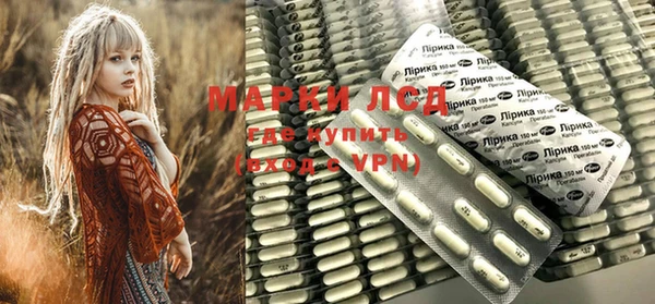 индика Ладушкин