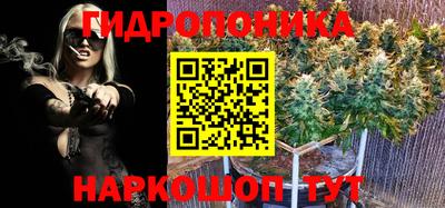 МДПВ Гусь-Хрустальный