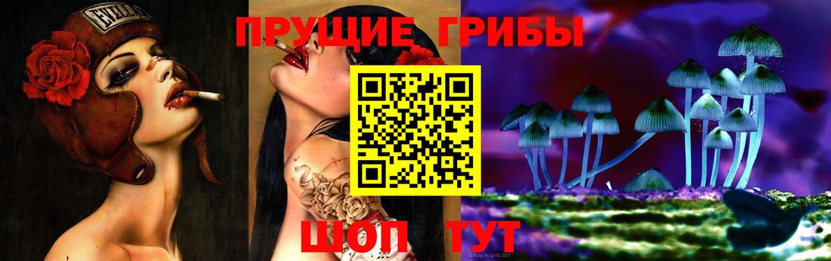 Галлюциногенные грибы Psilocybine cubensis Михайловск