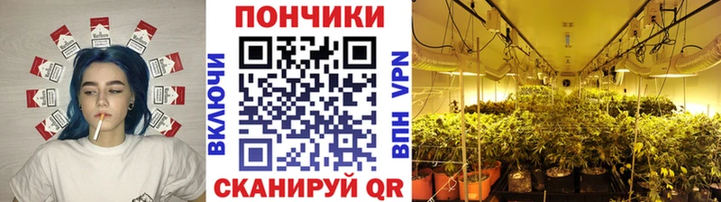 Каннабис индика  дарк нет формула  Михайловск 